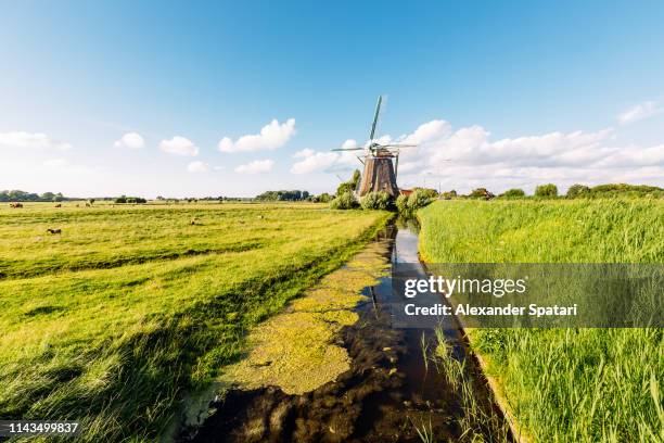 dutch landscape with traditional windmill on a sunny summer day - amsterdam windmill stock pictures, royalty-free photos & images