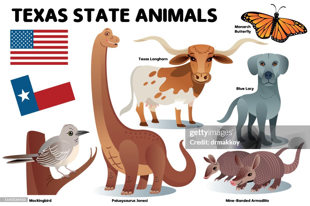 Texas Btate Animals,