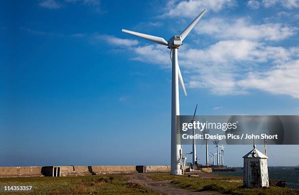 blyth, northumberland, england - blyth northumberland 個照片及圖片檔