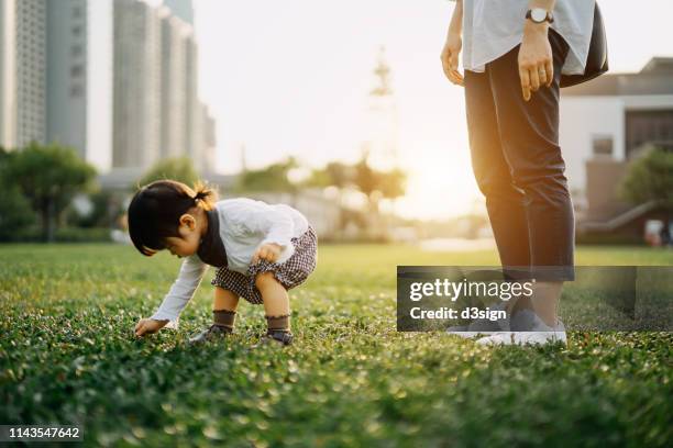 curious toddler girl crouching and picking grass while strolling with mother in park - 農作業 ストックフォトと画像