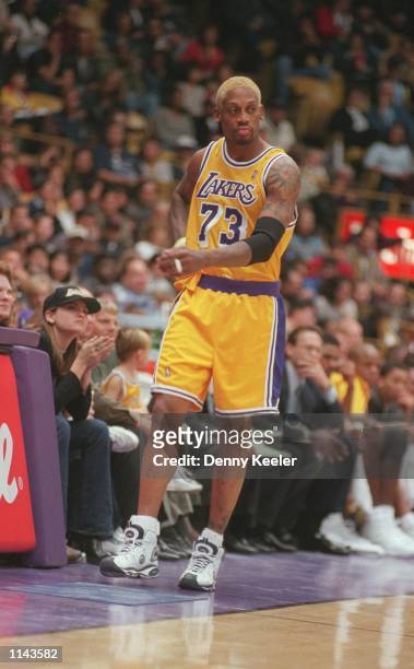342 Rodman Lakers Stock Photos, High-Res Pictures, and Images - Getty Images