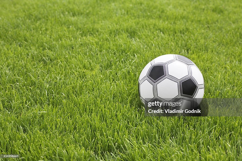 Still life of football in grass