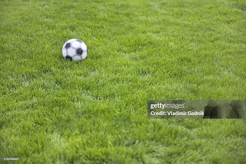 Still life of football in grass