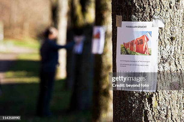 note with ad searching for football players sticking on tree - classified ad stock pictures, royalty-free photos & images