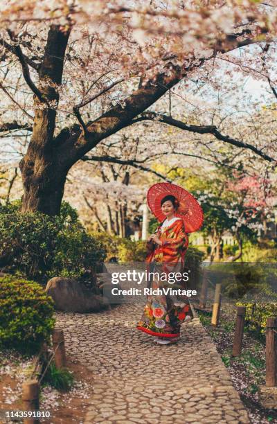 hermosa mujer japonesa en kimono - cherry blossom in full bloom in tokyo fotografías e imágenes de stock