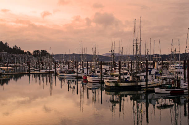 newport harbor in oregon - oregon fishing charter stock pictures, royalty-free photos & images