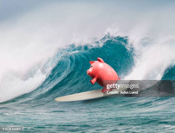 piggy bank surfing - surfboard stock pictures, royalty-free photos & images