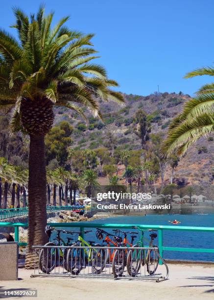 leisure activities at catalina island avalon - catalina island stock-fotos und bilder