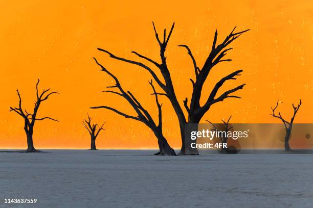 los 5 restantes, deadvlei, sossusvlei, namibia - dead vlei namibia fotografías e imágenes de stock