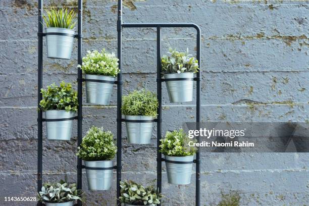 vertical herb garden standing in a confined urban space - hanging in garden photos et images de collection