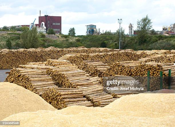 woodworking in lumber industry - yard of timber - pulp stock pictures, royalty-free photos & images