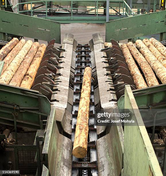 indústria madeireira-serra cortar linha na fábrica de - depósito de madeiras imagens e fotografias de stock