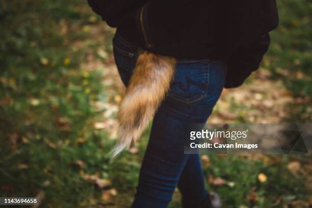 1,026 Fox Tail Photos and Premium High Res Pictures - Getty Images