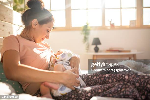 mom breastfeeding baby boy on sunny morning - baby mammal stock pictures, royalty-free photos & images