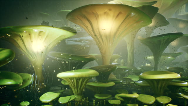Fantasy mushrooms in a magic forest. Beautiful magic mushrooms in the lost forest and fireflies on the background with the fog.