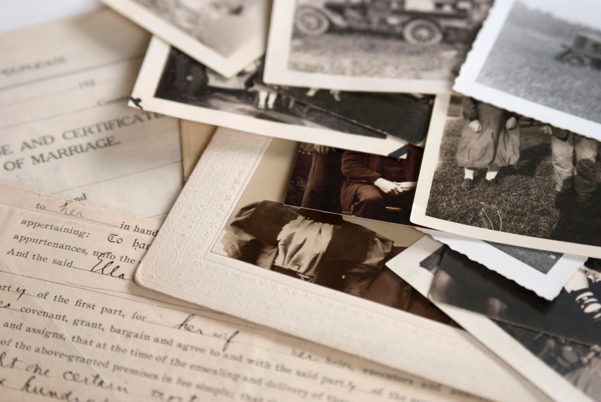 family memories