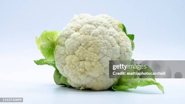 isolated cauliflower on white background - califlower stock-fotos und bilder