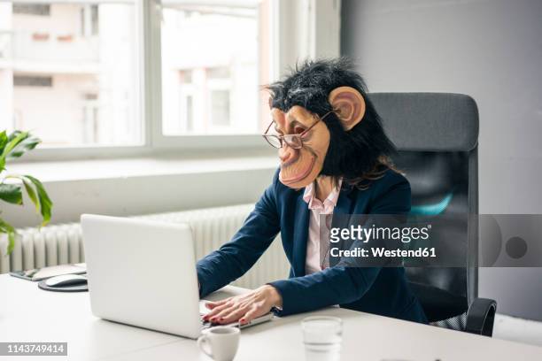 businesswoman with chimpanzee mask working in office, using laptop - animal costume stock-fotos und bilder