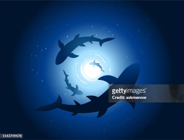 ilustrações de stock, clip art, desenhos animados e ícones de sharks under water - perseguir