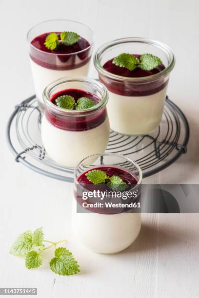 panna cotta with berry sauce - panna cotta imagens e fotografias de stock