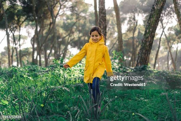 smiling girl wearing yellow raincoat and walking in the woods - girl oilskin stock pictures, royalty-free photos & images