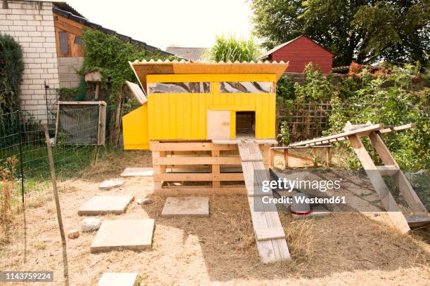 chicken house in garden - the coop stock pictures, royalty-free photos & images