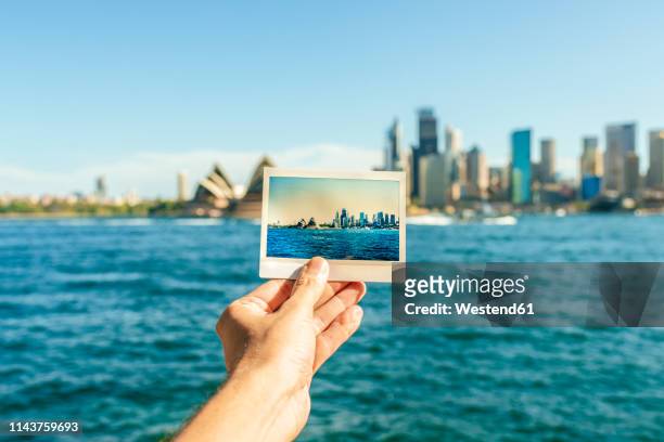 australia, new south wales, sydney, close-up of sydney landscape analog photography in front of sydney - long weekend australia stock-fotos und bilder