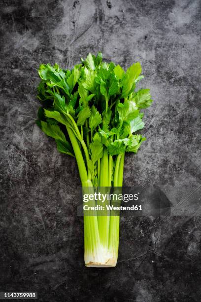 celeriac - bleekselderij stockfoto's en -beelden