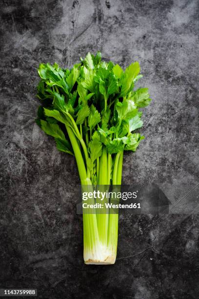 celeriac - celery stock pictures, royalty-free photos & images