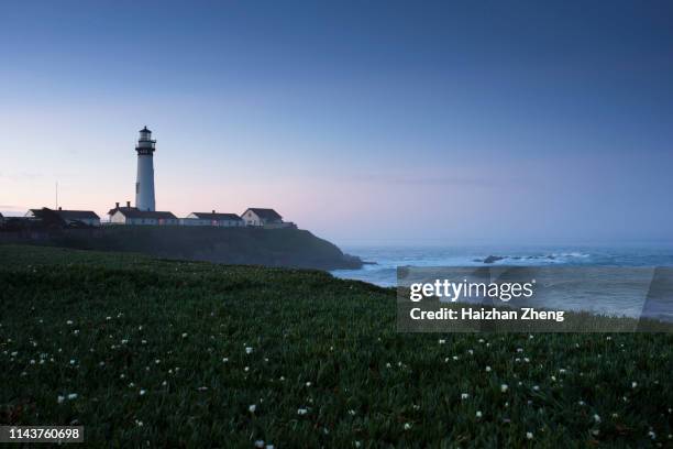 pigeon point lighthouse - pescadero stock pictures, royalty-free photos & images