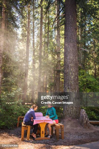 two young women sit at a picnic table at the edge of a forest with sun - dining overlooking water stockfoto's en -beelden