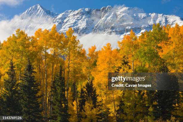 wilson peak dusted in snow near telluride colorado - mt wilson colorado fotografías e imágenes de stock