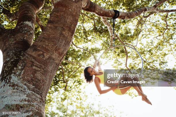 young african american woman training with aerial hoop hanging on tree - lyra - fotografias e filmes do acervo