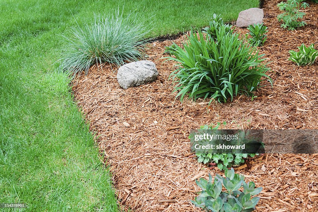 Perennial Flower Garden