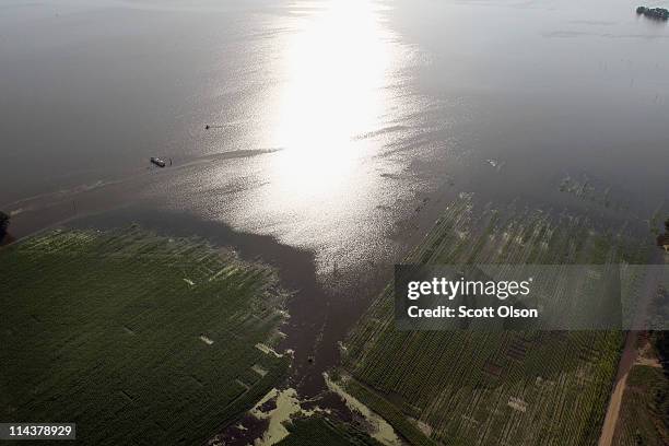 Crops are inundated by floodwater from the Yazoo River May 18, 2011 near Vicksburg, Mississippi. The flooded Mississippi River is forcing the Yazoo...