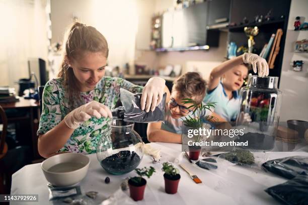 kids enjoying making plant bottle gardens - terrarium imagens e fotografias de stock