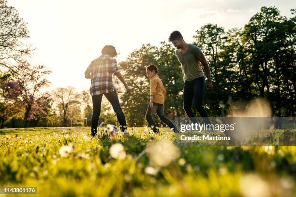 gelukkige familie spelen in de natuur laat in de middag zonlicht - beschermd natuurgebied stockfoto's en -beelden