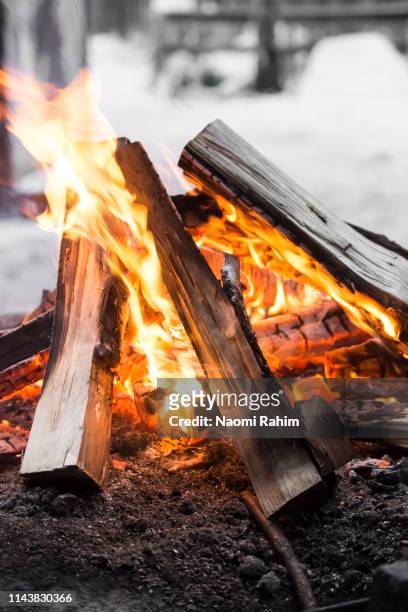 burning wood logs on campfire in finland - campfire no people stock-fotos und bilder