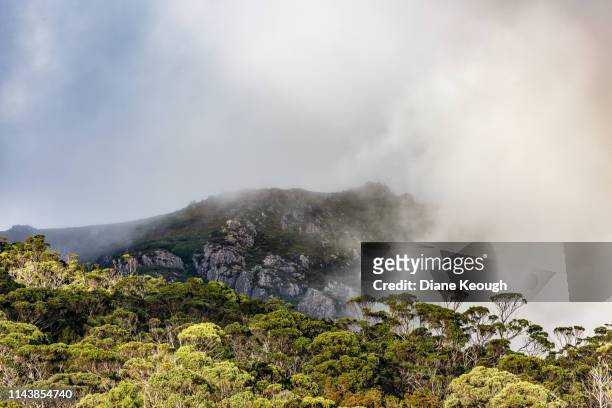 rugged bushland at cradle mountain in tasmania. rocky outcrop with bushland in the foreground with low lying cloud covering part of the ridge. - cradle mountain tasmania stock pictures, royalty-free photos & images