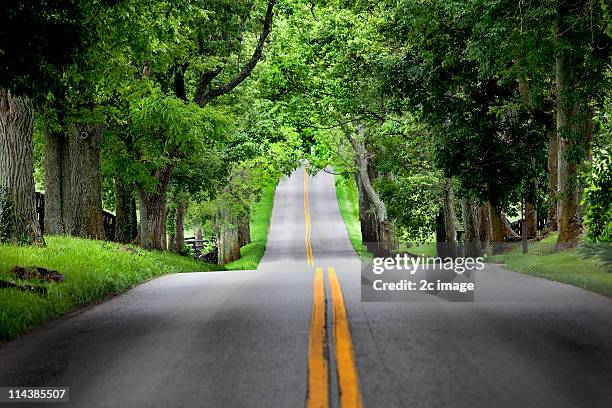 ironworks road, lexington, usa - kentucky road stock pictures, royalty-free photos & images