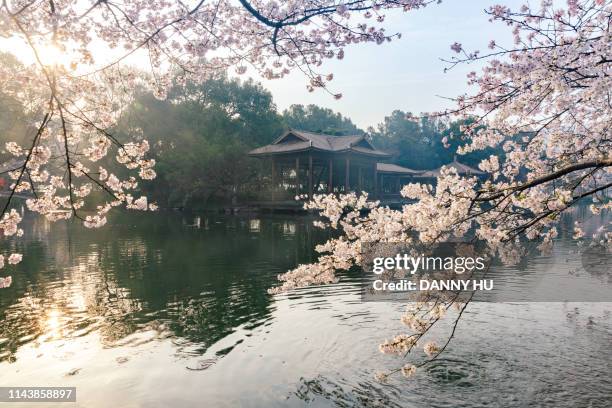 Spring In Hangzhou 4,460 West Lake Hangzhou Stock Photos, High-Res Pictures, and Images ...