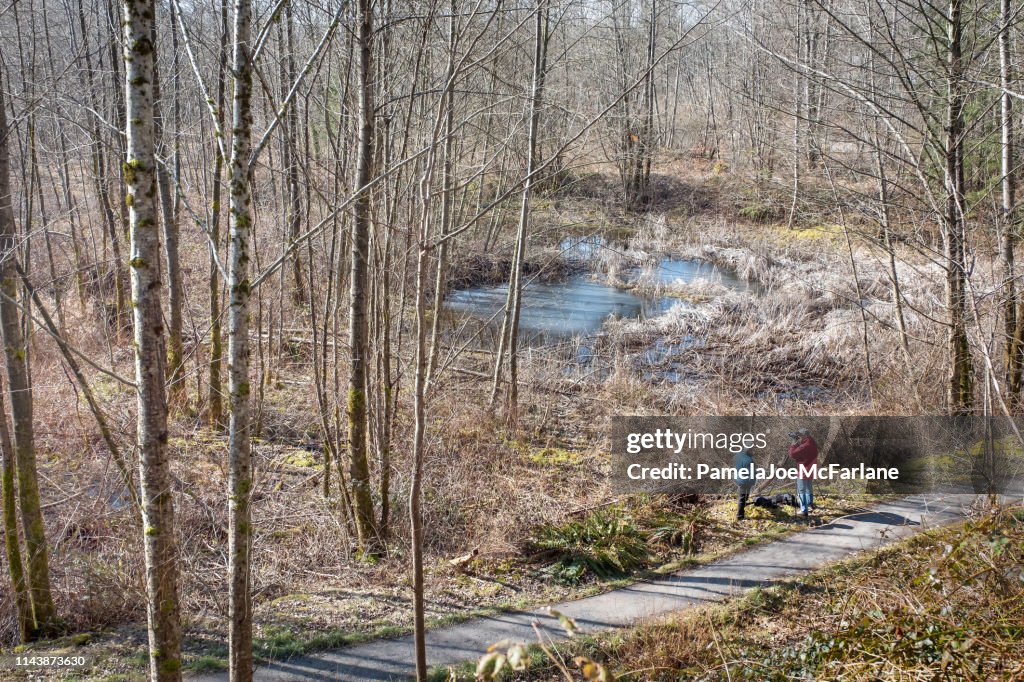 Senior and Mature Men Friends Photographing Marsh Landscape and Wildlife