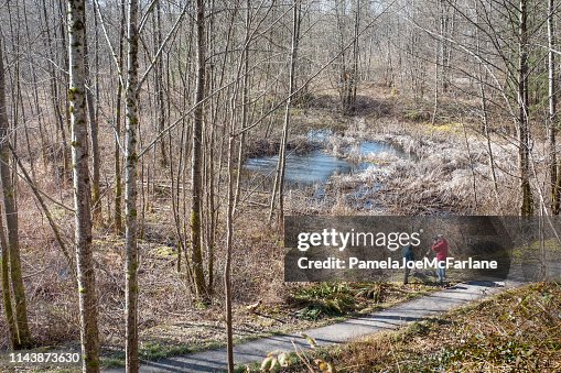 Senior and Mature Men Friends Photographing Marsh Landscape and Wildlife Senior and Mature Men Friends Photographing Marsh Landscape and Wildlife