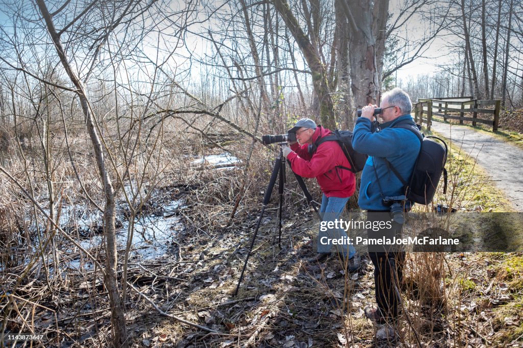 Senior and Mature Men Friends Photographing Wildlife in Woodland Marsh