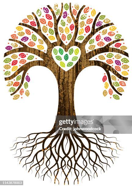 531 Tree Roots Circle Stock Photos, High-Res Pictures, and Images ...