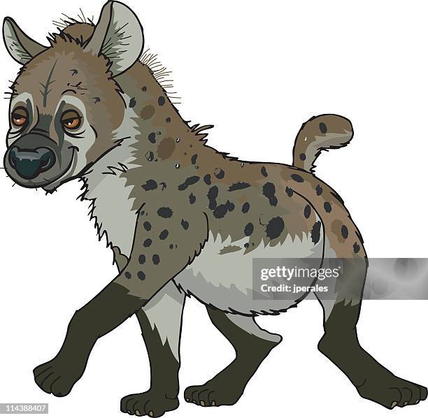 hyäne - hyena stock-grafiken, -clipart, -cartoons und -symbole