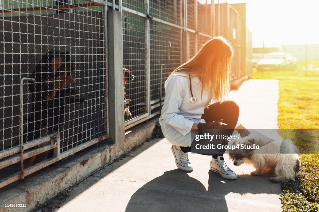 Animal shelter