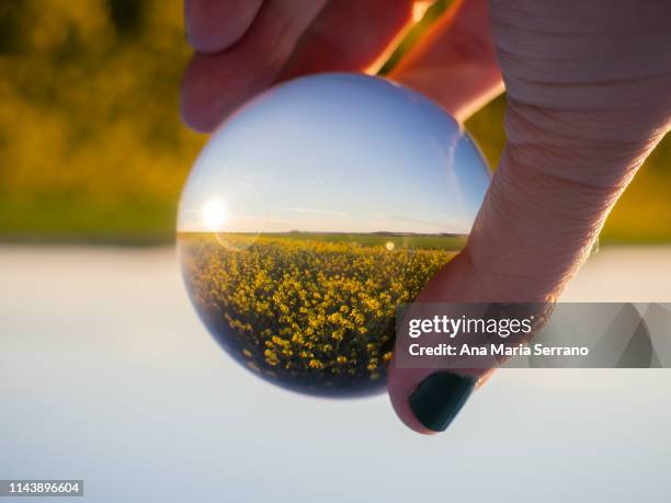 landscape reflected in a crystal ball - focus lens stockfoto's en -beelden