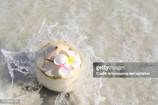 coconut water, water, coconut - acqua di cocco foto e immagini stock