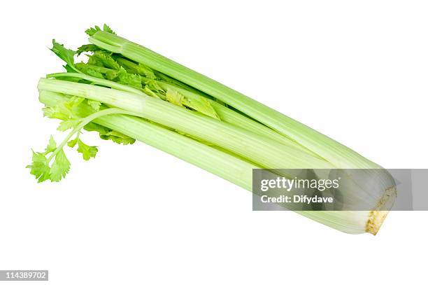 sedano - celery foto e immagini stock